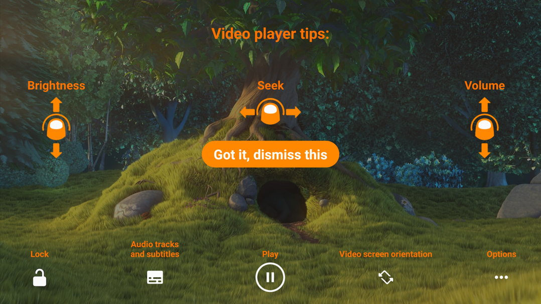 Video Player Controls