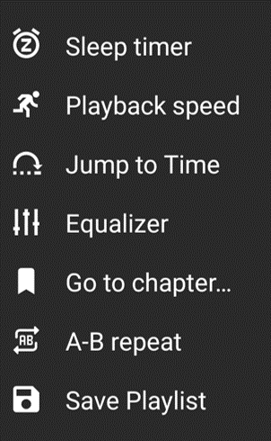 Audio Player More Options